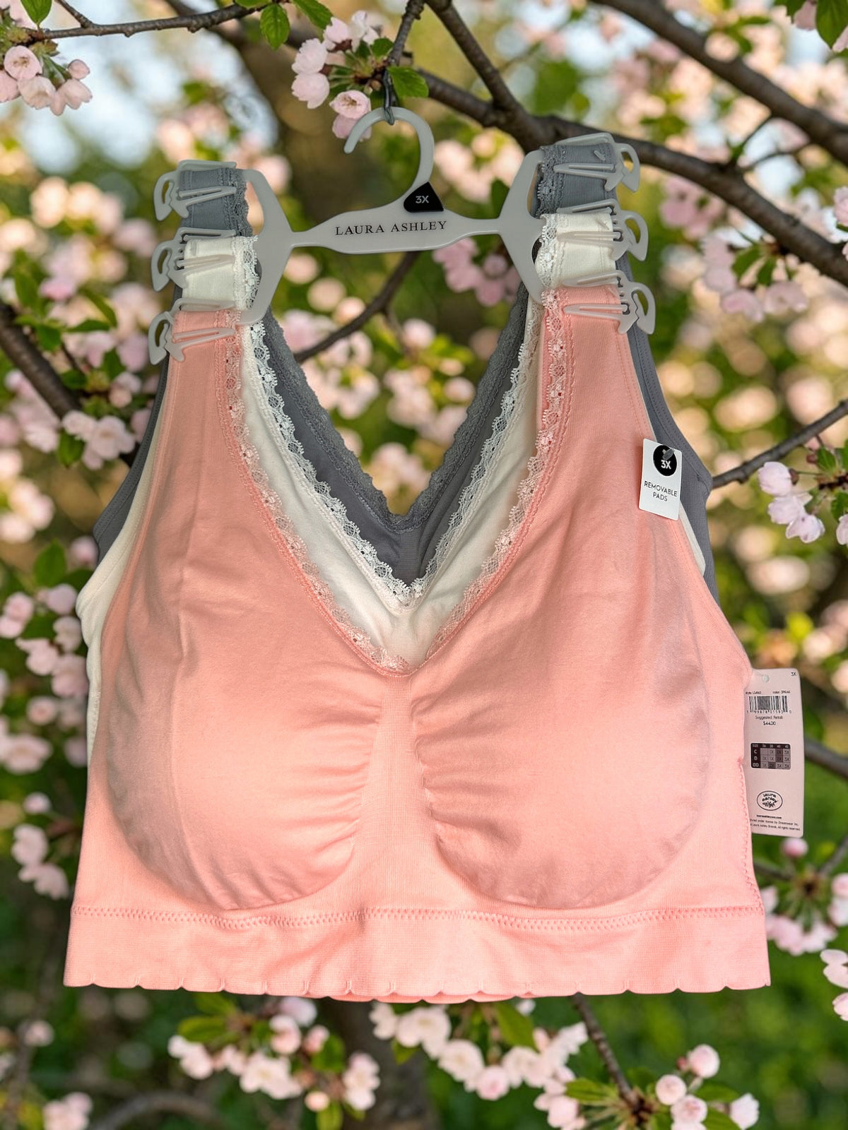 Laura Ashley Pull-On Bra with Lace Detail – Size 3X (Salmon, Cream & Light Gray)
