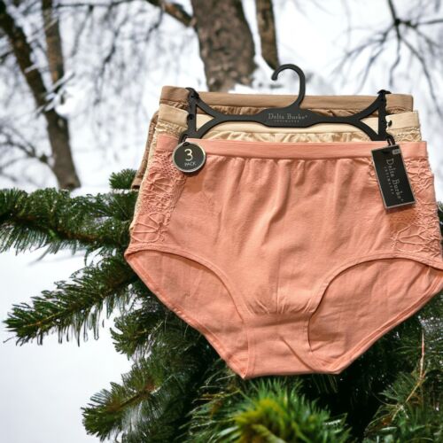 Delta Burke ~ 3 Pack ~ Women's Brief Underwear Panties Nylon Blend ~ PLUS 9/2X