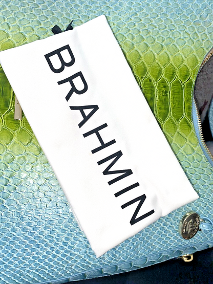 Brahmín Tabitha Limeade Rivers Genuine Leather~ LIGHT BLUE & GREEN~NEW~UNIQUE!