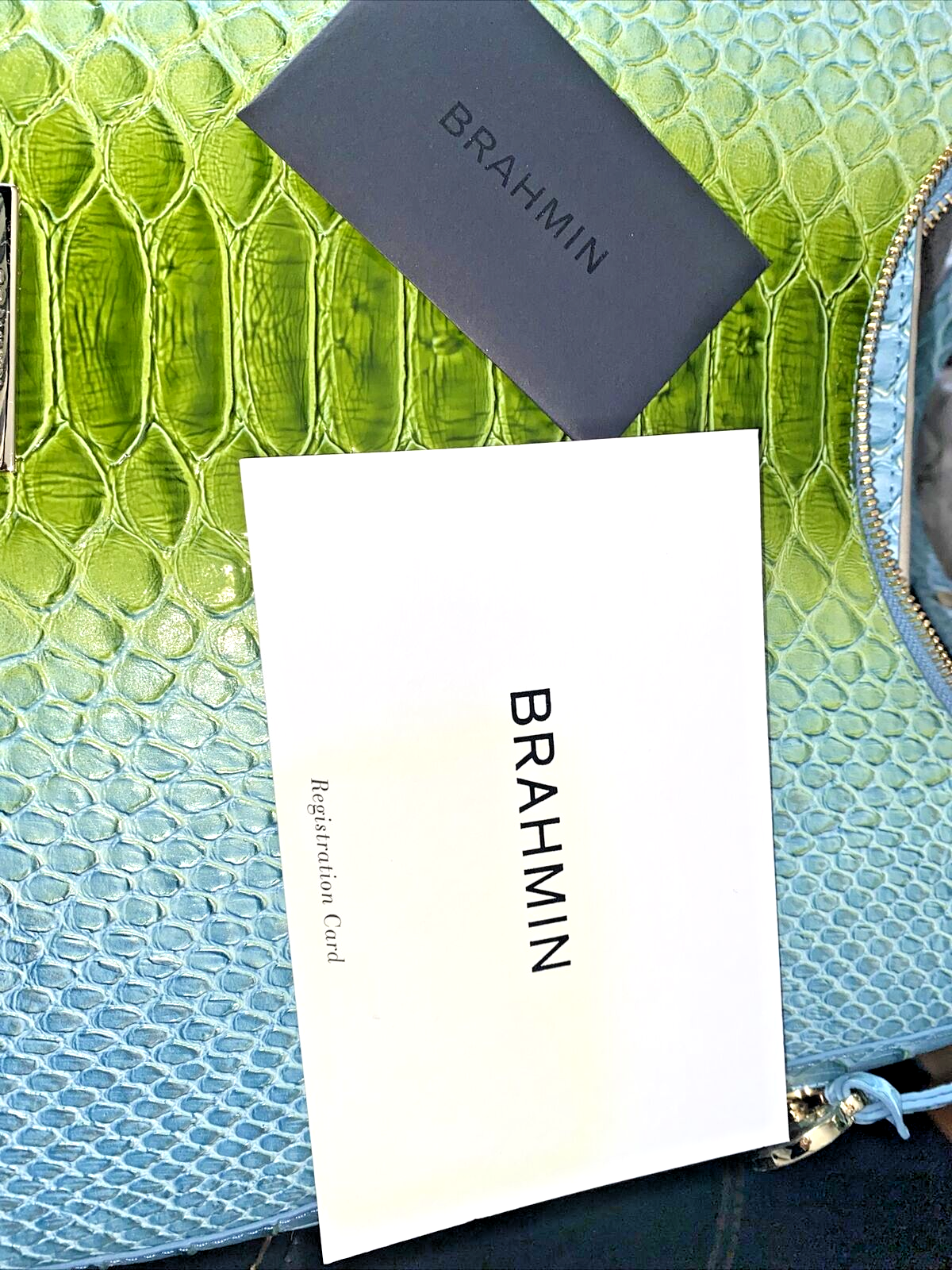 Brahmín Tabitha Limeade Rivers Genuine Leather~ LIGHT BLUE & GREEN~NEW~UNIQUE!