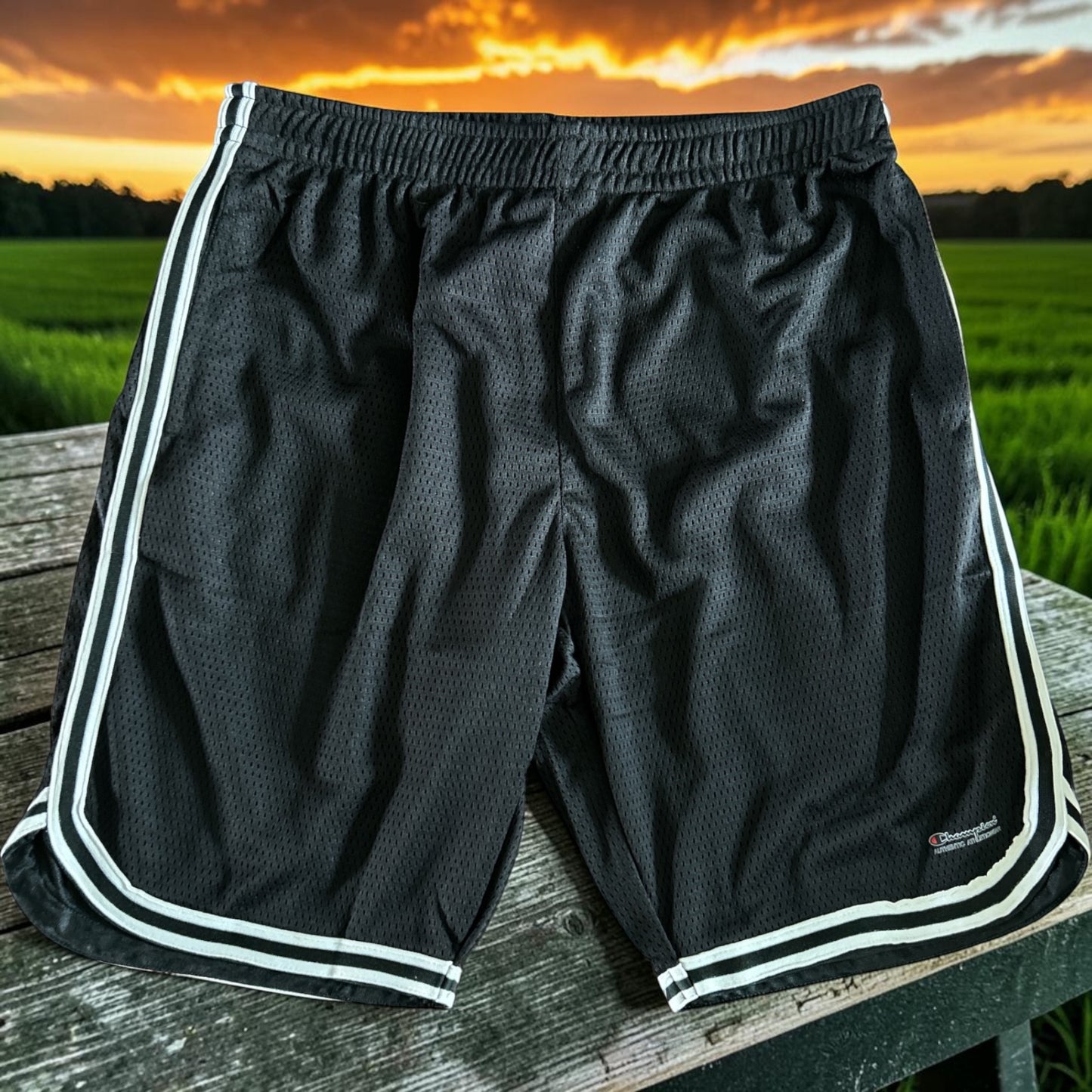 Champion Authentic Athleticwear Mesh Shorts - Black with White & Black Ribbon and Champion Authentic Activewear Logo